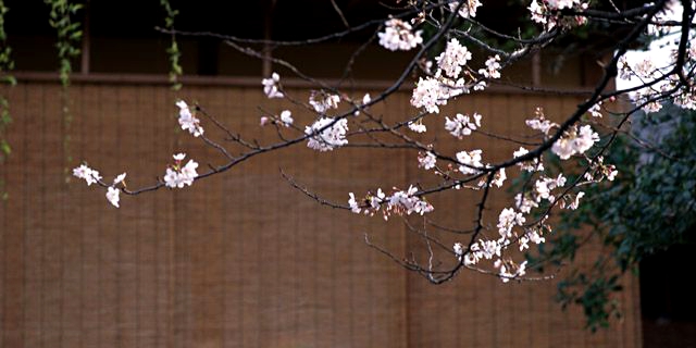 国内旅行へ言う前にしておきたい準備